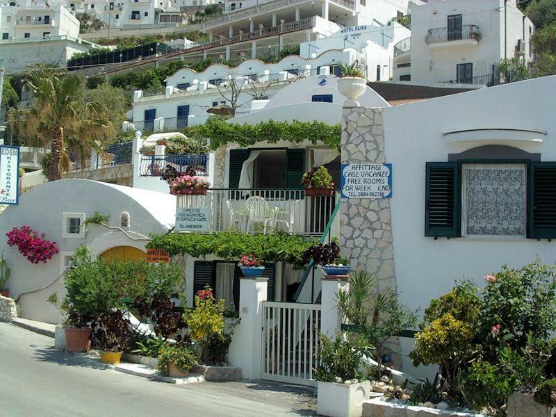 Blu Marine Casa A 10Mt Dalla Spiaggia Peschici Bagian luar foto